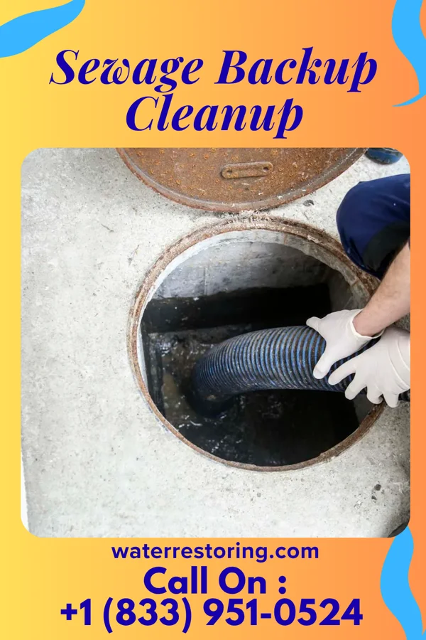 Sewage Backup Cleanup in Ahtanum, WA